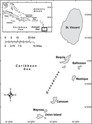 Artisanal and Aboriginal Subsistence Whaling in Saint Vincent and the Grenadines (Eastern Caribbean): History, Catch Characteristics, and Needs for Research and Management